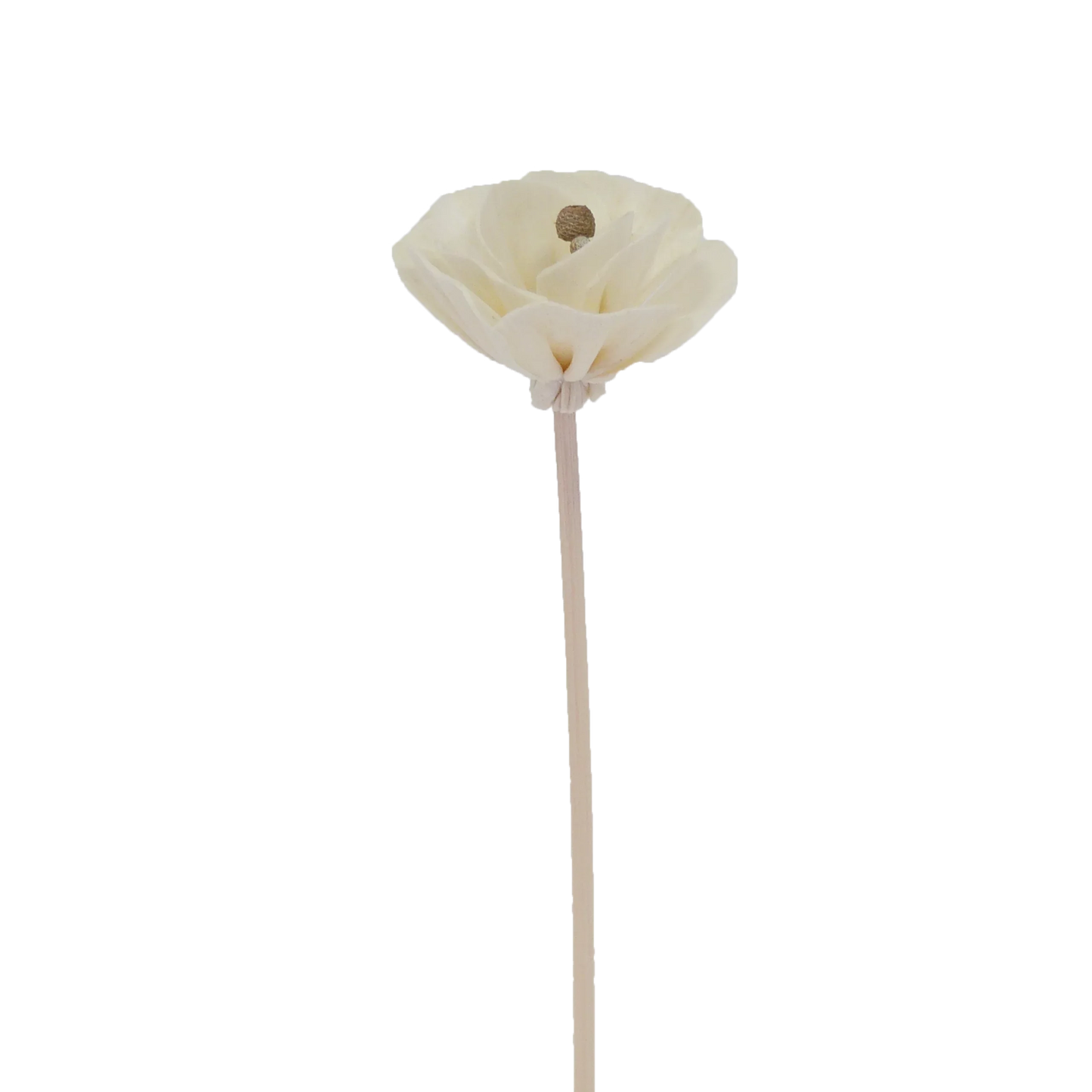 Chinese Peony Flower - Rattan Diffuser Stick