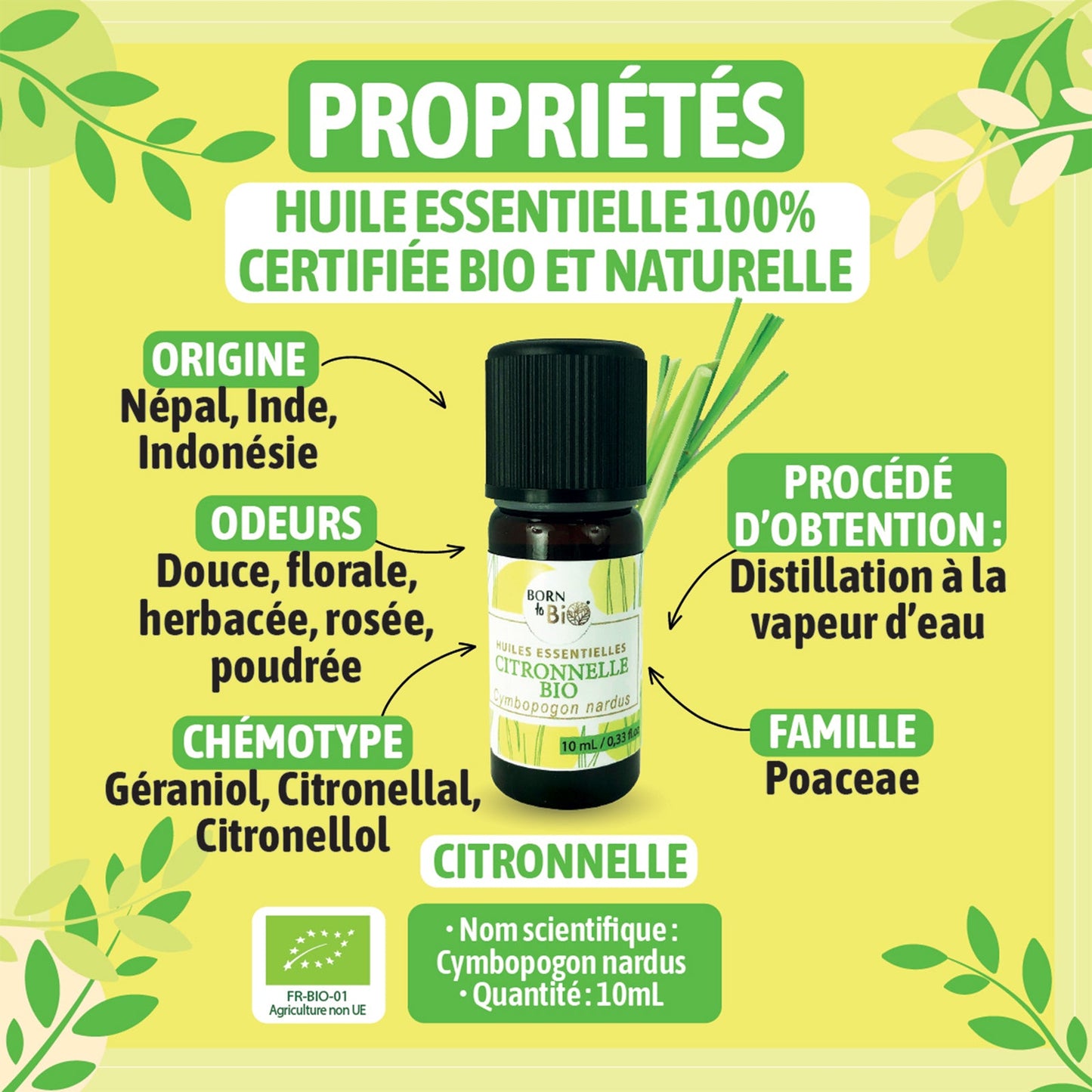 Organic Lemongrass essential oil